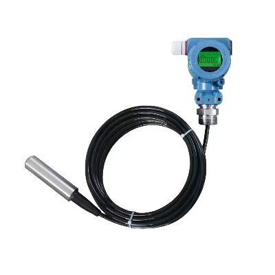 611A-PCM260 投入式液位变送器 显示款