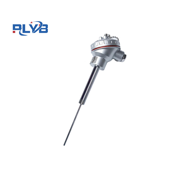 直形管接头式热电阻 WZP-72